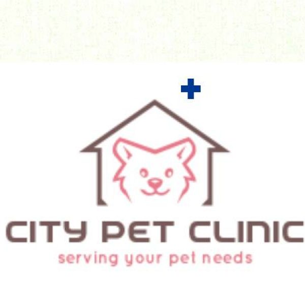 City Pet Clinic